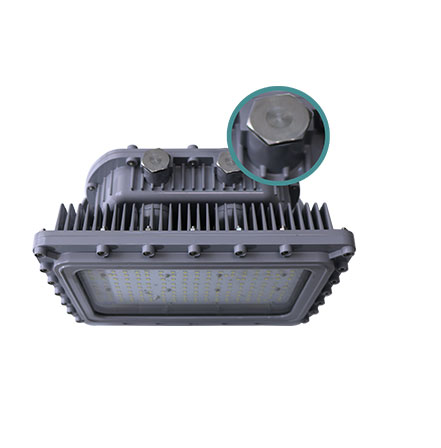 120v Led Flood Light