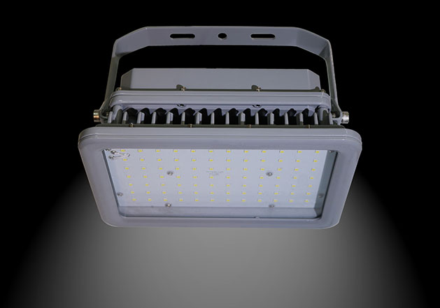 Ceiling Mount Motion Sensor Flood Light