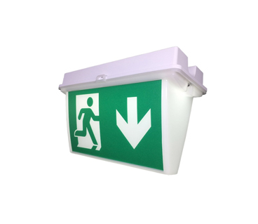 Emergency Sign Light AES Series