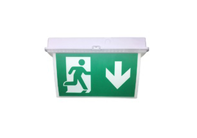 Emergency Lighting Factory