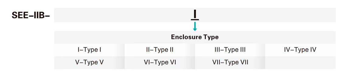 Explosion Proof Enclosure SEE-IIB Series