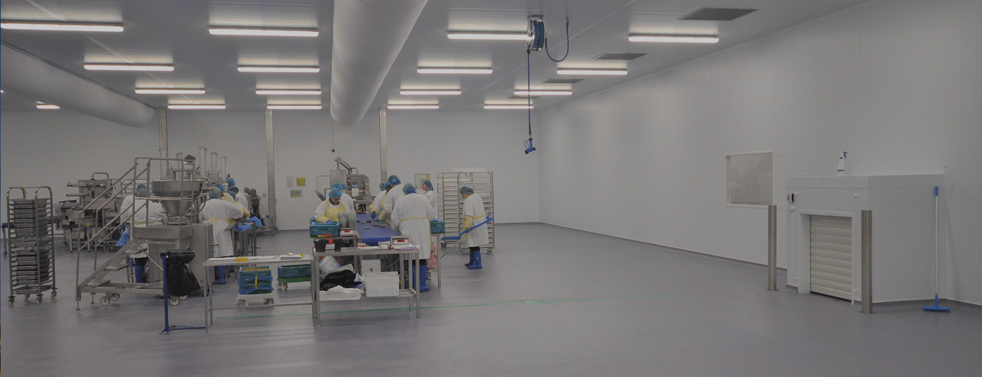 Safeguarding Your Food Process And Quality Consistency With Food Processing Lighting