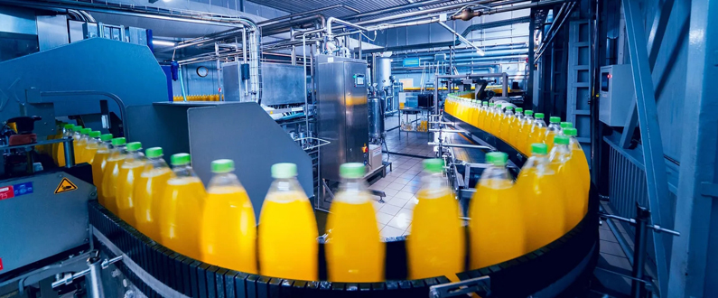 Safeguarding Your Food Process And Quality Consistency With Food Processing Lighting