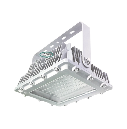 120v Led Flood Light